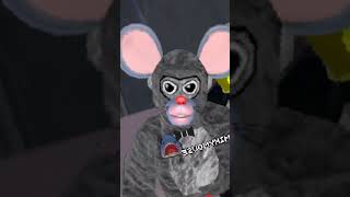 If you guys want a face reveal gorillatag foryou vr [upl. by Auqenaj]