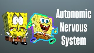 Pharmacology autonomic nervous system neetpg pharmacology [upl. by Otrebogir]