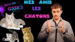 Mes amis les chatons  SLG N°9  MATHIEU SOMMET [upl. by Waldemar]