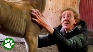 Blind horse whisperer raises foal [upl. by Bolling]