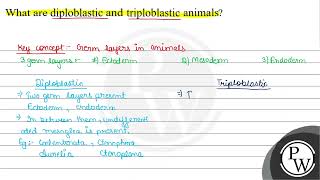 What are diploblastic and triploblastic animals [upl. by Roque]