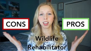 Pros and cons of being a wildlife rehabilitator and how I became one [upl. by Fiertz440]