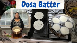 How to Make Dosa Batter II English II Jersey Gardening [upl. by Ddot400]