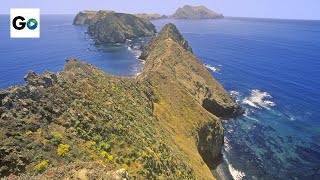 Channel Islands National Park [upl. by Aisad]