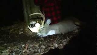 Mathews Z7 Michigan Instinctive Bowhunt 14 Point Whitetail Dan Fitzgerald [upl. by Rotciv]