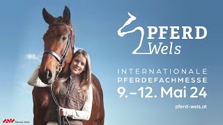 Pferd Wels internationale Pferdemesse [upl. by Yleme]