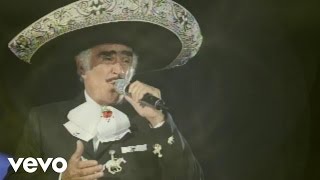 Vicente Fernández Mariachi México de Pepe Villa  El Tahur Audio [upl. by Lanod]