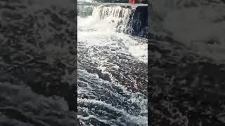 Subscribe for more ll Wyndham Falls [upl. by Apoor]