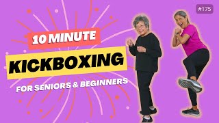 Easy Kickboxing for Seniors amp Beginners Low Impact Workout [upl. by Adnuhsed553]