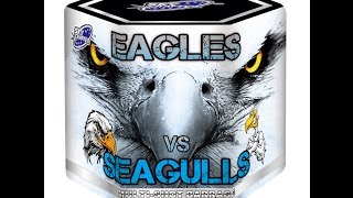 Eagles Vs Seagulls By Skycrafter [upl. by Yleen]