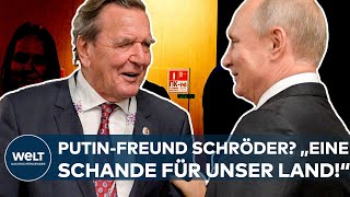 GERHARD SCHRÖDER PutinFreund quotEin Schande für unser Landquot  Markus Söder I WELT News [upl. by Rovaert95]