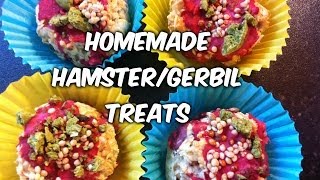 DIY Treats for Hamsters and Gerbils Cupcakes with icing and sprinkles [upl. by Refenej]