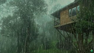 Pluie Relaxante pour Dormir en 3 Minutes  Son de Pluie pour se Détendre et Améliorer linsomnie [upl. by Bekelja]