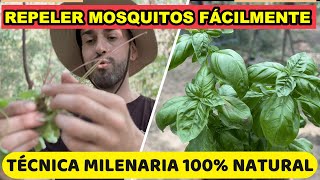 Como REPELER Mosquitos En 1 MINUTO🦟 Técnica de Supervivencia [upl. by Koffler251]