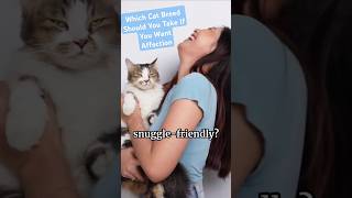 Which Cat Should You Get cats cat catpersonality viralshort shorts youtubeshorts [upl. by Sulokcin]