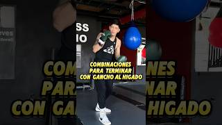 APRENDE A TIRAR TU GANCHO AL HIGADO boxeo boxing boxingtips boxeomundial boxeoprofesional [upl. by Inoue]