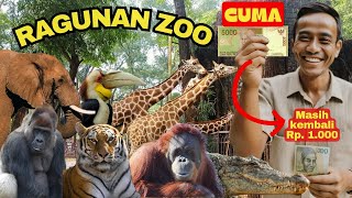 Murah Banget  Wisata Kebun Binatang Ragunan  Ragunan Zoo 2023  Taman Margasatwa Ragunan [upl. by Temhem]