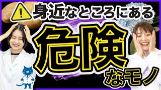 【薬剤師が解説】油断大敵！？気をつけて！身近なところにある危険なモノについてお話しします🥔 植物性自然毒 化学物質 有害 [upl. by Rimat685]