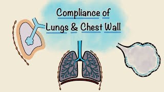 Lung and Chest wall Compliance  Breathing Mechanics  Respiratory Physiology [upl. by Ahsened]