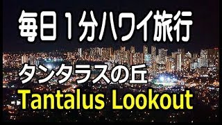 【4K】毎日1分ハワイ旅行 タンタラスの丘・夜景 Tantalus Lookout Honolulu Hawaii [upl. by Nirrad567]