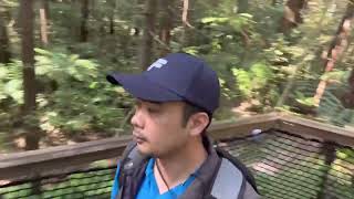 Trip to Redwoods treewalk Rotorua NZ 10012024 part 1 [upl. by Kcirde]