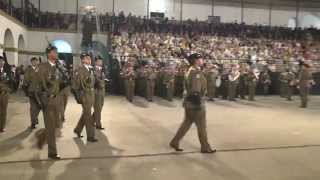 Falla Fuerzas Armadas y Guardia Civil 2014 [upl. by Bilek853]