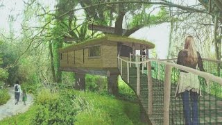 Construire des cabanes dans les arbres à SaintGoazec  Finistère VOST [upl. by Wescott651]