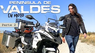 Viaje a Península de Valdés en moto  Parte 2  Benelli TRK 502 X [upl. by Verlee896]