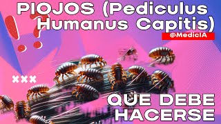 TRATAMIENTOS efectivos para ELIMINAR los PIOJOS en la CABEZA en casa [upl. by Womack]