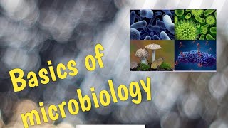 Basics of microbiology part 2 sterilisation [upl. by Eladnyl]