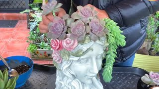 Succulent Head Planter Arrangement [upl. by Nickolai437]