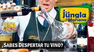 ¿Sabes despertar tu vino  Saga del Vino 5 [upl. by Gnex]