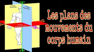 Les plans des mouvementsplans de référence anatomique avec animation [upl. by Nitsirt]