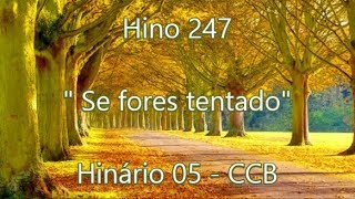 Hino 247  Se fores tentado  H5 CCB [upl. by Cornall778]