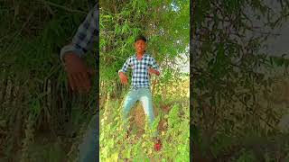 dance funny comedy dancer bhojpuri instagram youtubeshorts trending [upl. by Beatrix]