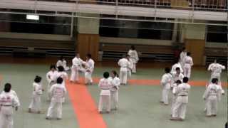 Judo Training  Kodokan [upl. by Tnarg]