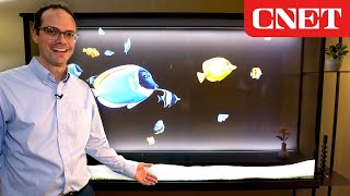 LG Transparent OLED Turns From TV Into Animated Art [upl. by Calista814]