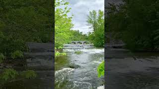 Five Span Bridge Park water rapids shorts canada watersounds [upl. by Nide]