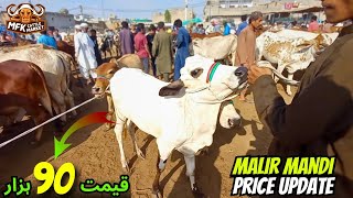 Malir Cow Mandi Latest Rates Update 2024 amp 2025  50 Hazar Stating price  Cow Prices 2024 amp 2025 [upl. by Mackoff]