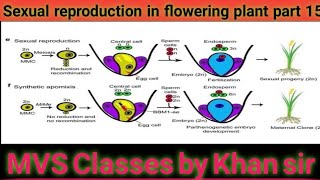 Sexual reproduction in flowering plant part 15 [upl. by Oag]