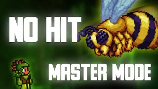 Queen Bee NO HIT Terraria Master Mode  Королева Пчёл NO HIT Террария Мастер Мод [upl. by Ardnoid]