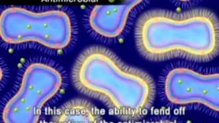 The Animation of Antimicrobial Resistance [upl. by Delahk]