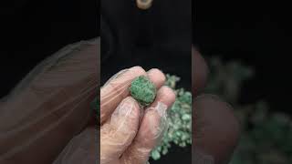 Natural Emerald Specimen  Origin Pakistan quotSwatquot emerald emeralds emeraldstone gemstone gems [upl. by Friedly]