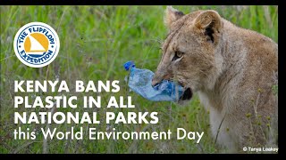 Kenya Bans All Single Use Plastics in Protected Areas [upl. by Nolyd]