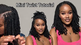 HOW TO MINI TWISTS  SPRINGY AFRO TWIST  Easy protective style with springy afro twist hair [upl. by Tirma]