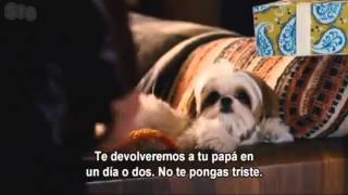 Siete Psicópatas Seven Psychopaths Trailer HD Subtitulado Plaza de Cine Sala1 [upl. by Felix]