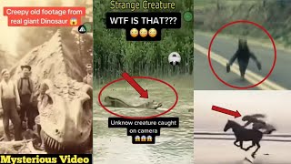 15 strangest things caught on camera [upl. by Aicineohp809]