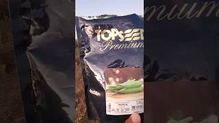 Sementes de quiabo topseed premium [upl. by Zeidman]