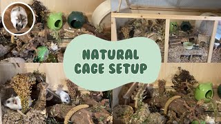 German Inspired Naturalistic Hamster Cage Setup  Hamster Handmade [upl. by Aicenat]