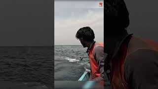 Deep Sea Fishing for King Fish fishing fishingvideo fishingtime [upl. by Egag865]